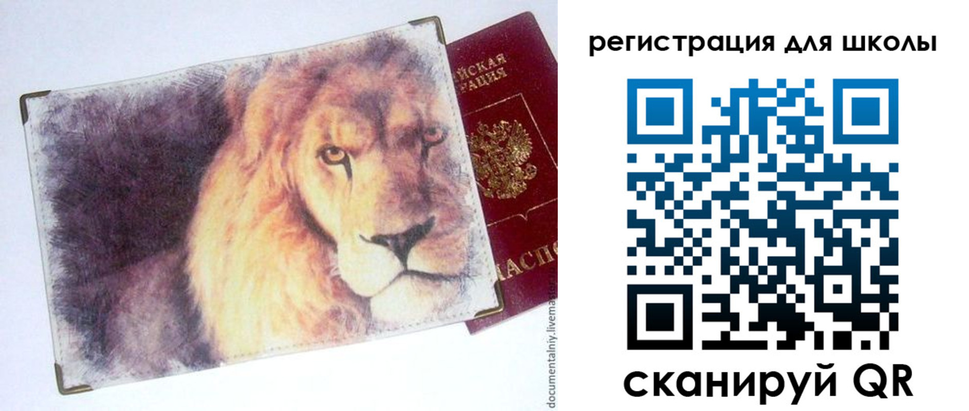 купить прописку в Сольцах
