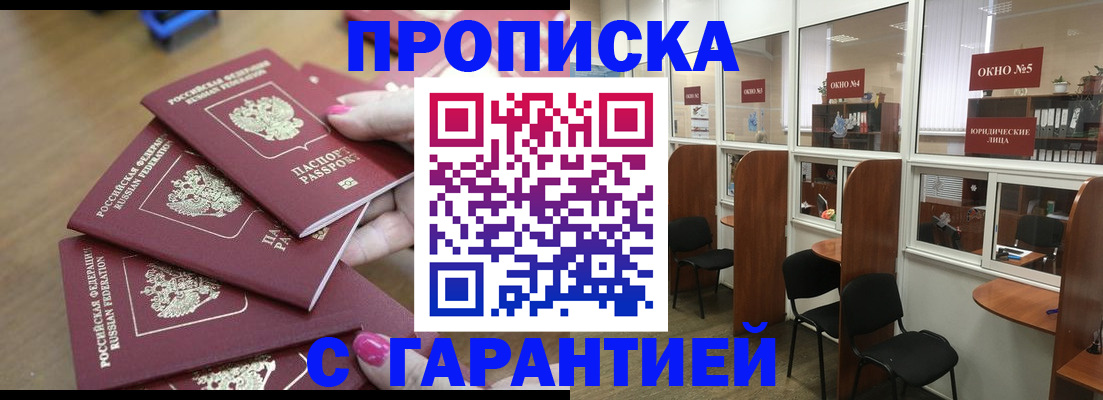 прописка поиск в Сольцах